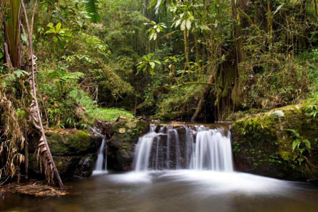 Ouest & Sud + Ranomafana