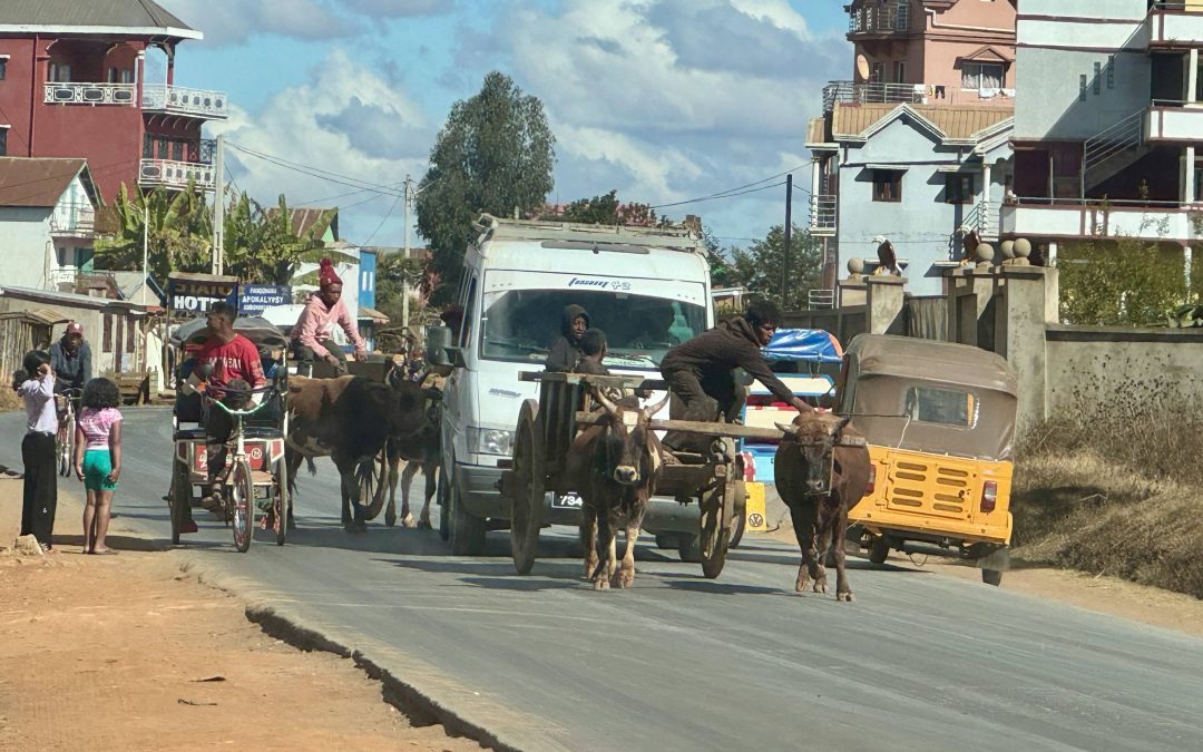 Scène de rue typique à Madagascar : entre tradition et modernité