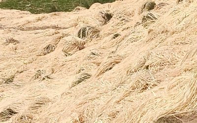 Le savoir-faire malgache au naturel !